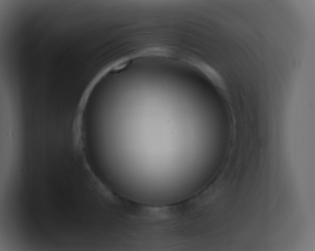 X0000101680816200807101420