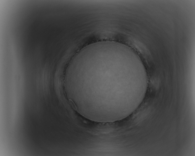 X0000101680817200807101419