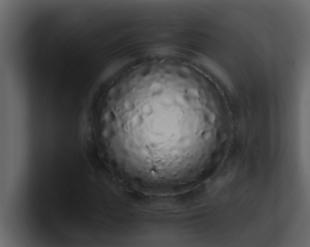 X0000101680823200807101419