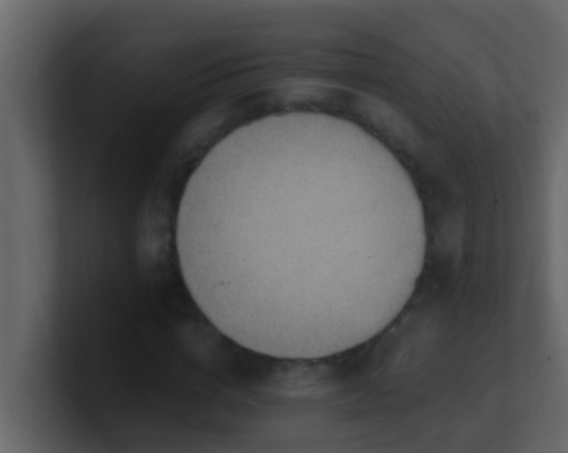 X0000101680824200807101419