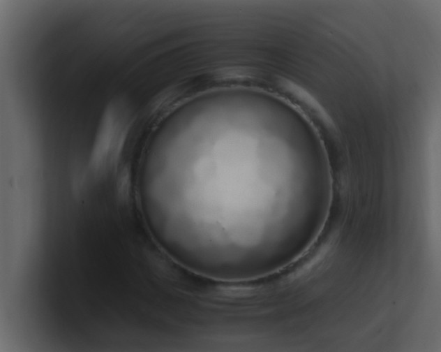 X0000101680825200807101419