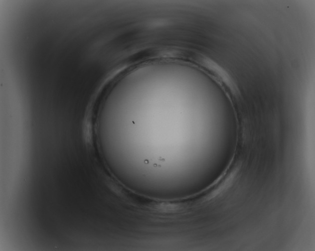 X0000101680827200807101419