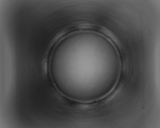 X0000101680829200807101419