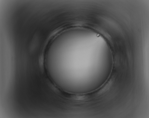 X0000101680831200807101420