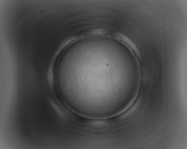 X0000101680835200807101420