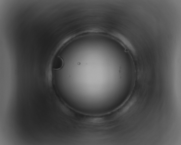 X0000101680837200807101420