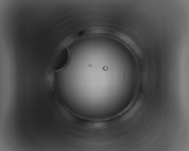 X0000101680841200807101420