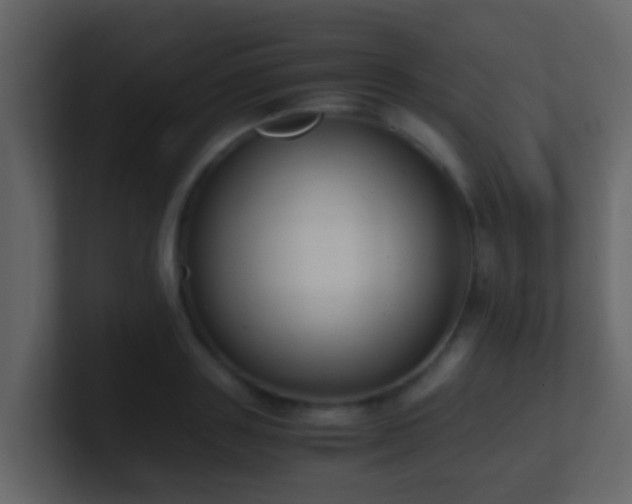 X0000101680843200807101420