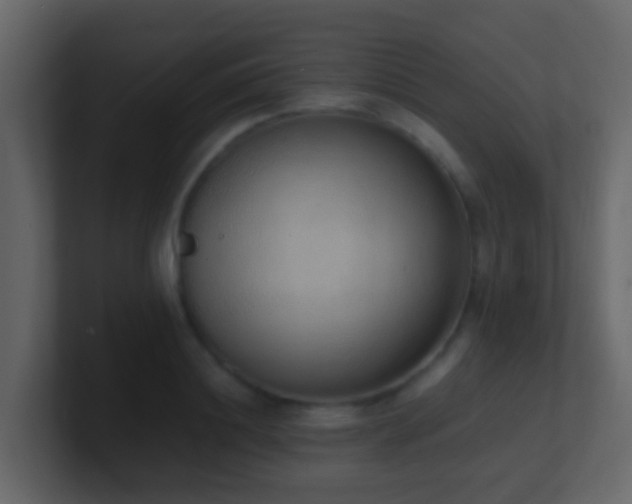 X0000101680844200807101420