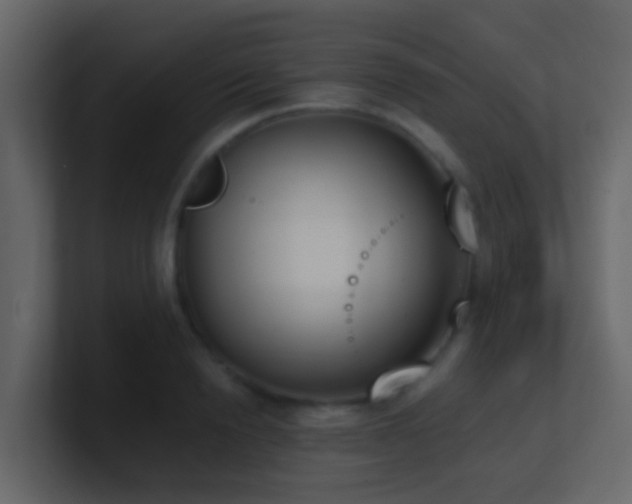 X0000101680846200807101420