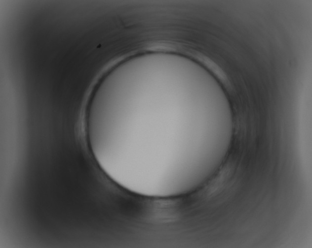 X0000101680848200807101420