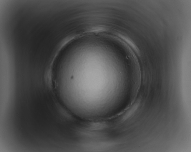 X0000101680850200807101420