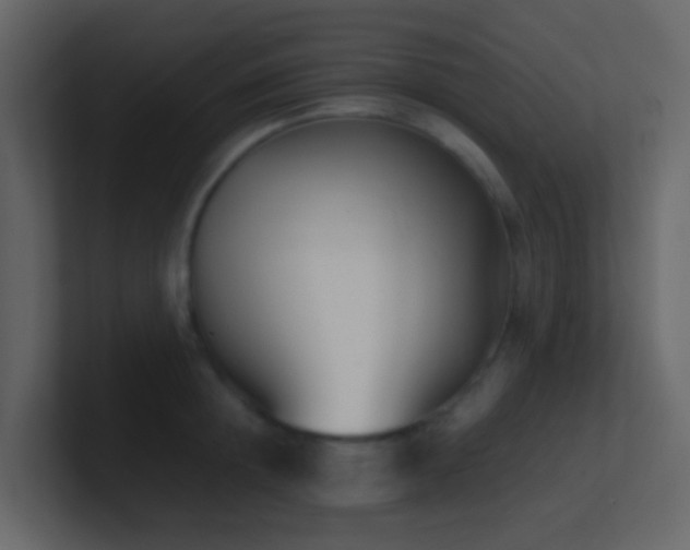 X0000101680852200807101420