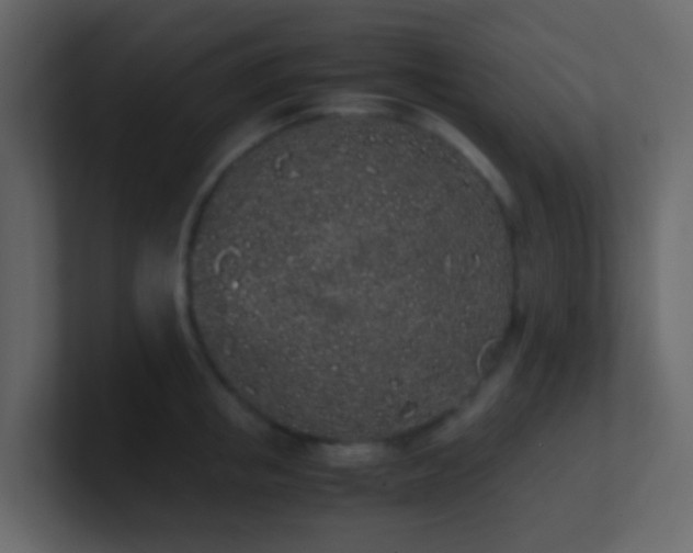 X0000101680853200807101420