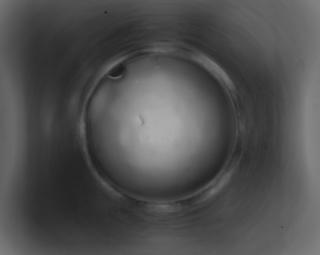 X0000101680855200807101420