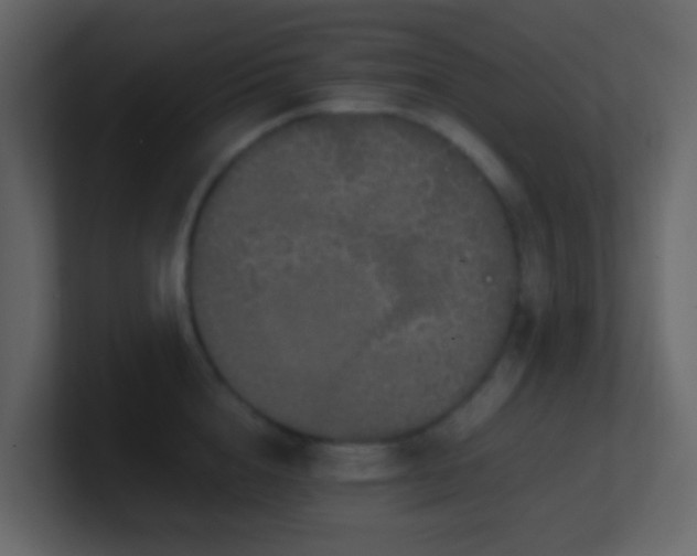 X0000101680856200807101420