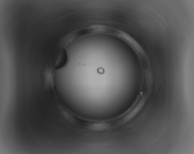 X0000101680857200807101420