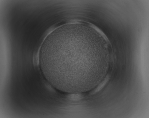 X0000101680858200807101420