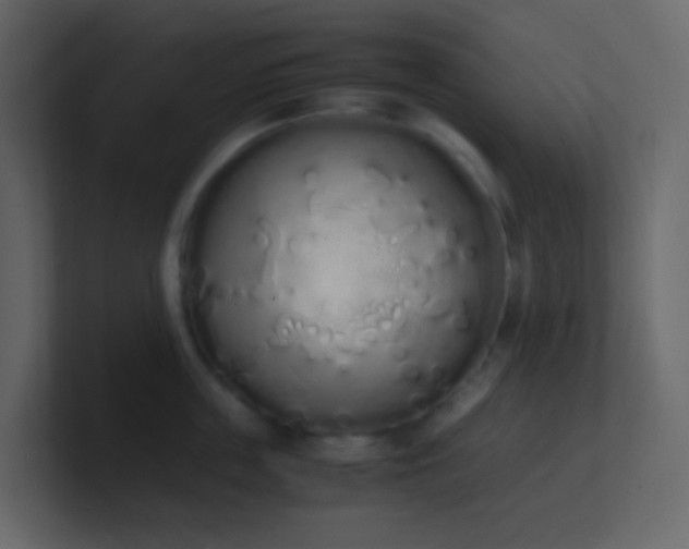 X0000101680859200807101420