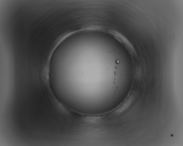 X0000101680860200807101420