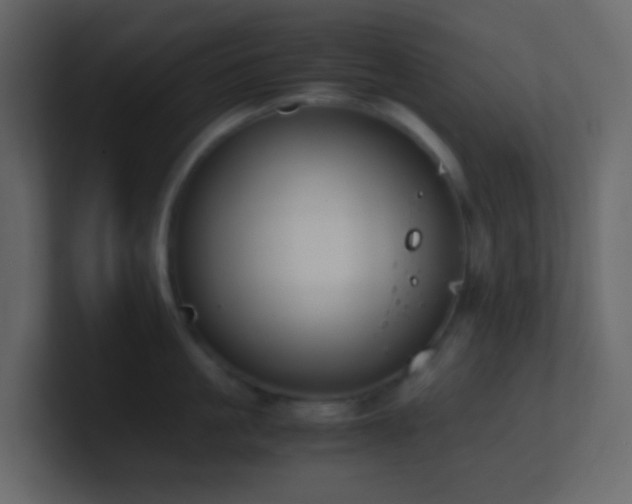 X0000101680861200807101420