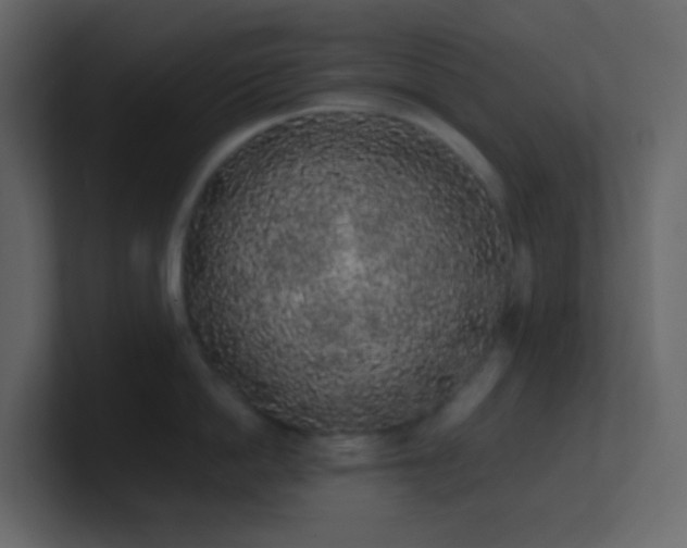 X0000101680862200807101420