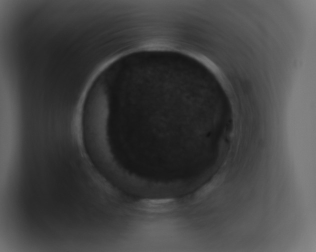 X0000101680864200807101420