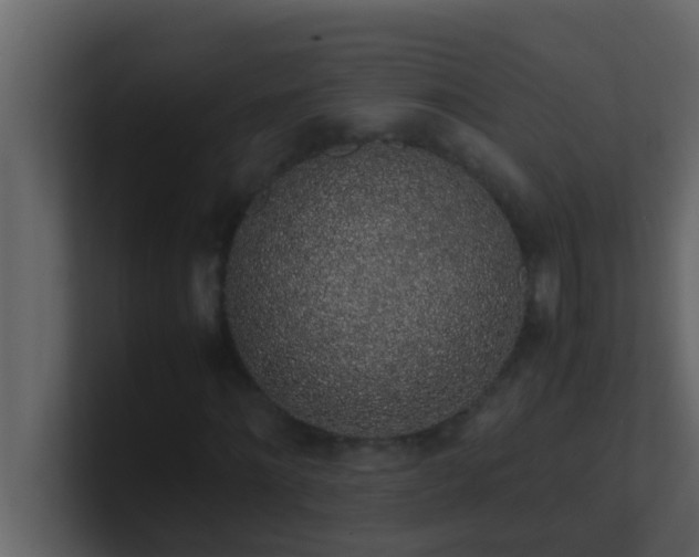 X0000101680868200807101419