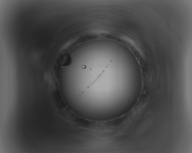 X0000101680871200807101419