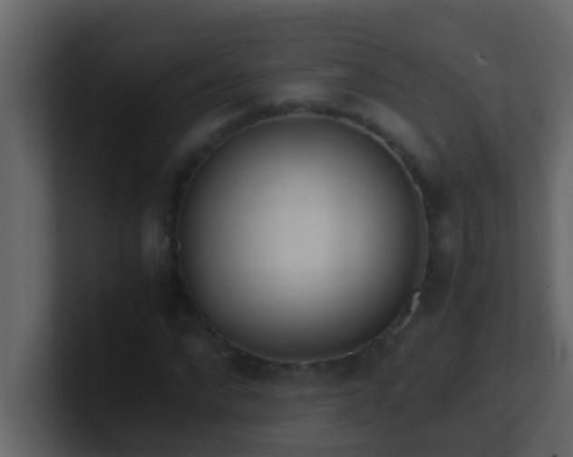 X0000101680872200807101419