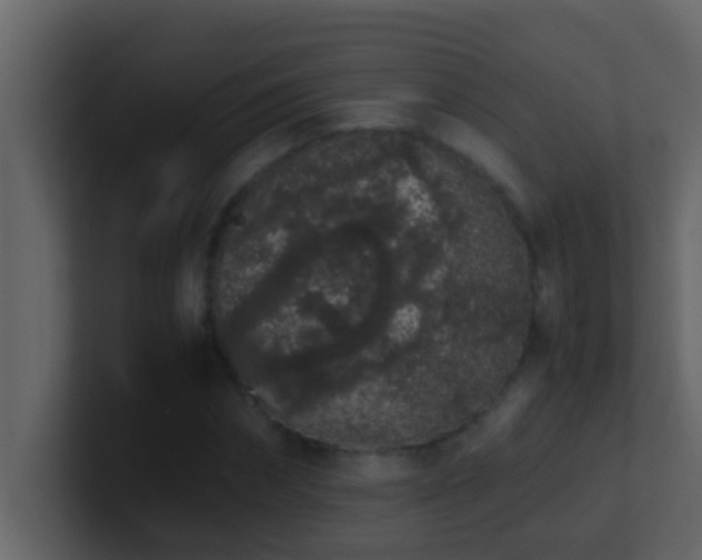 X0000101680874200807101419