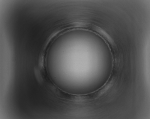 X0000101680875200807101419