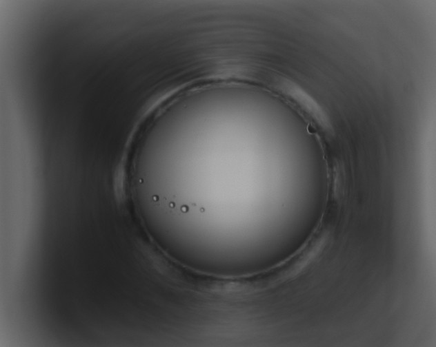 X0000101680876200807101419