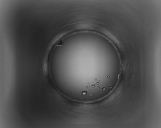 X0000101680877200807101419