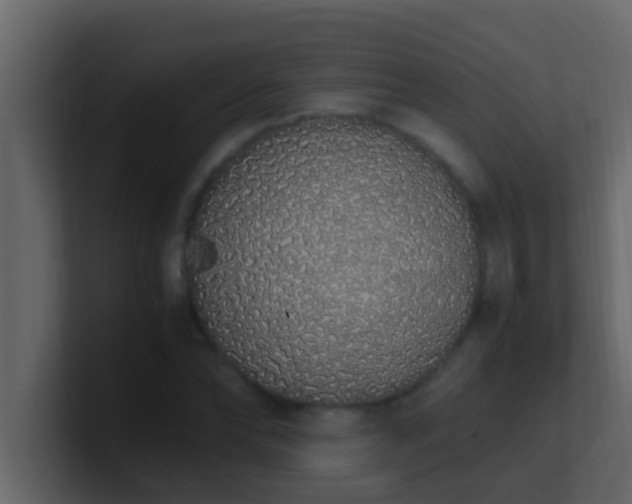 X0000101680878200807101419