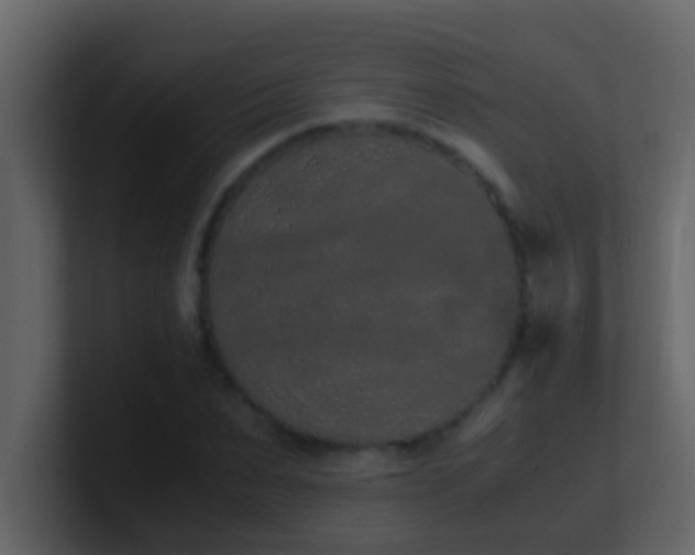 X0000101680879200807101419