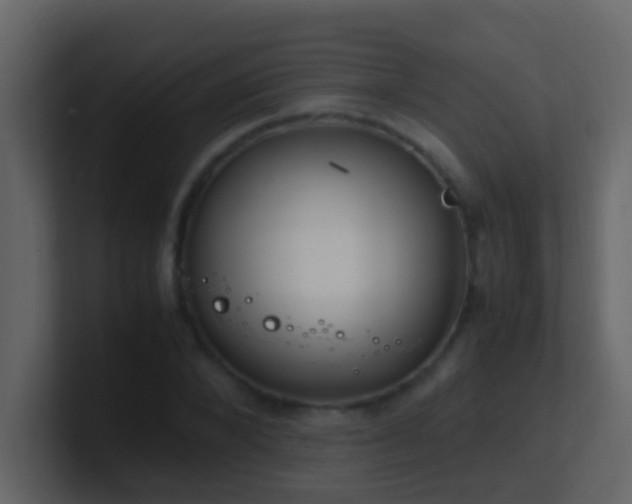 X0000101680880200807101419