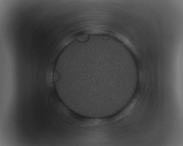 X0000101680881200807101419