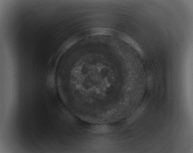 X0000101680882200807101419