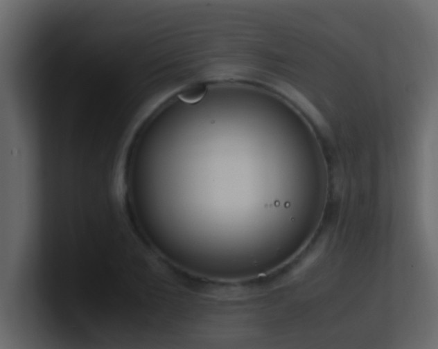 X0000101680885200807101419