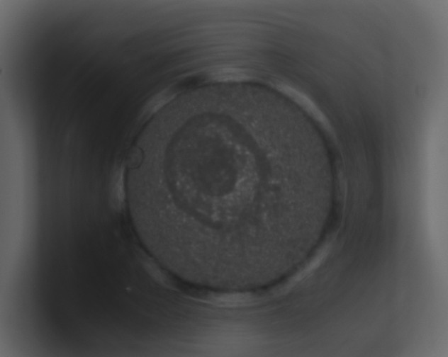 X0000101680889200807101419