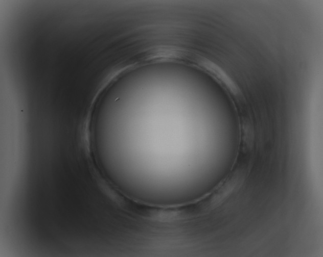 X0000101680890200807101419