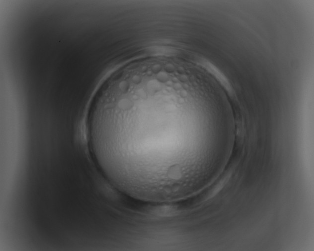 X0000101680891200807101419