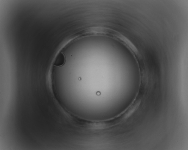 X0000101680893200807101419