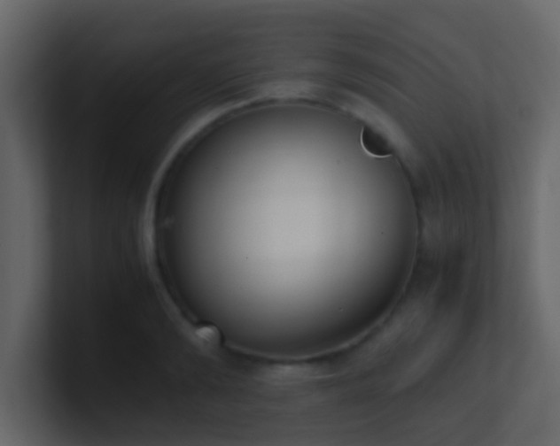 X0000101680894200807101419