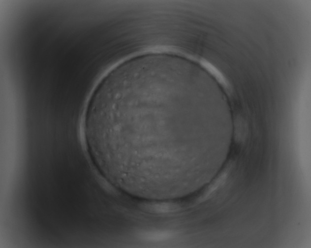 X0000101680895200807101419