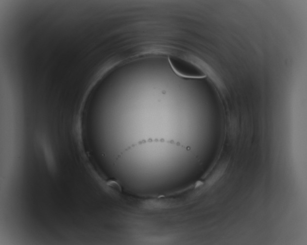 X0000101680898200807101419