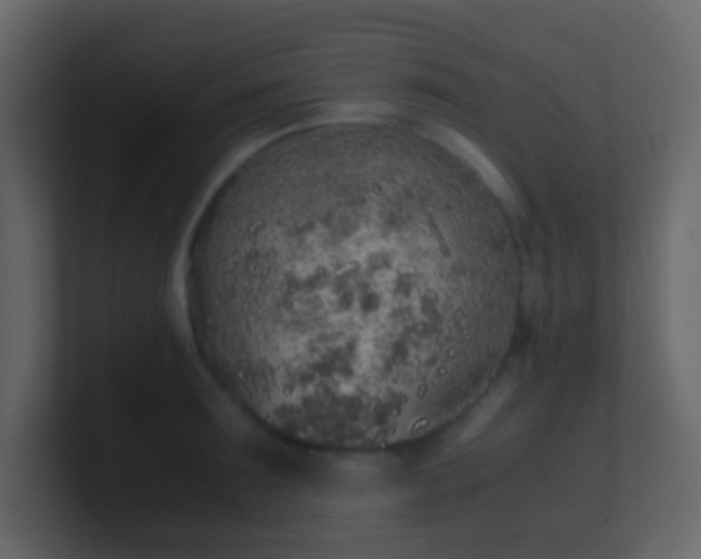 X0000101680899200807101419