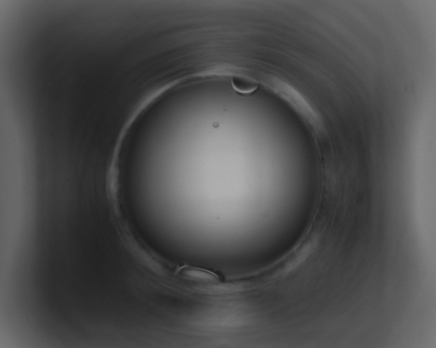 X0000101680900200807101419