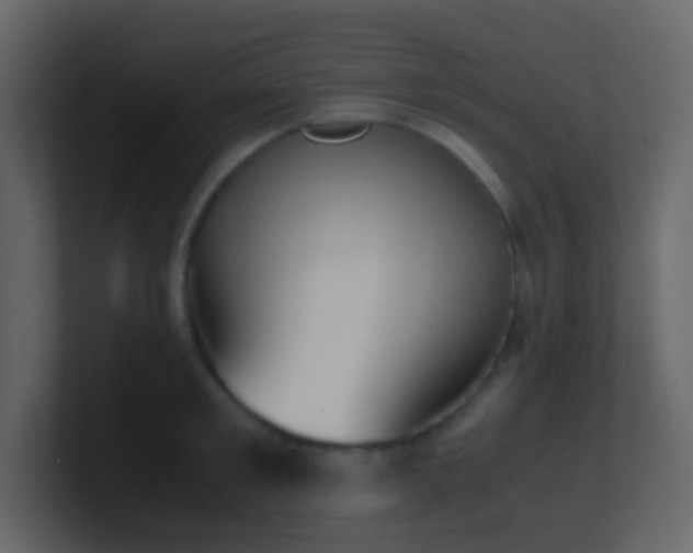 X0000101680901200807101419